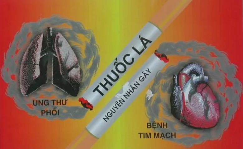 Tăng cường phòng, chống tác hại của thuốc lá